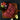 Carne Asada