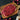 Flank Steak