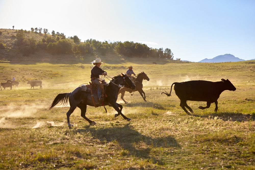 Our Story – Slickhorn Ranch